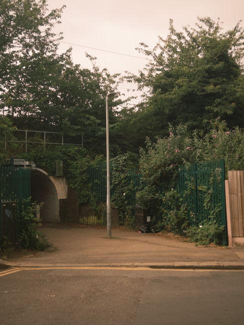A paved driveway leading into a passageway surrounded by dense greenery and tall trees on both sides, with metal and wooden fencing visible along the edges. The scene is illuminated by natural light, possibly in the late afternoon or early evening, with a street lamp positioned centrally near the entrance. The left side of the driveway features a small, curved brick wall, and there are bushes with purple flowers on the right. The overall environment suggests an urban or suburban area with private access, potentially used for on-site clearance or private waste disposal by a rubbish removal service such as Rubbish Removal Wimbledon. The surface appears clean and well-maintained, with no visible rubbish or debris, emphasizing a neat and orderly setting that could be associated with organized waste collection or clearance services.